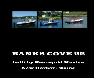 BANKS COVE 22 book cover