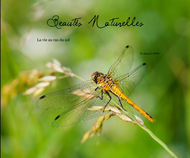 Ver Beautés Naturelles por Par Daniel LAFON