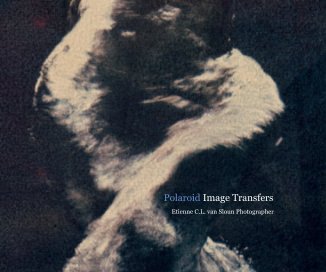 Polaroid Image Transfers book cover