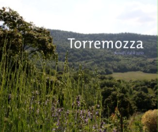 Torremozza book cover
