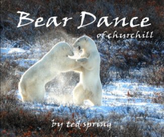 Bear Dance of churchill book cover