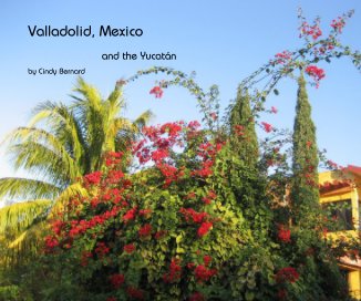 Valladolid, Mexico book cover