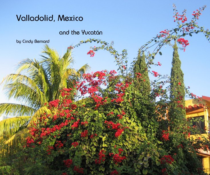 View Valladolid, Mexico by Cindy Bernard