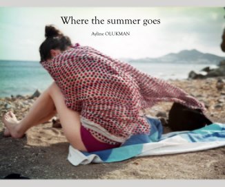Where the summer goes book cover