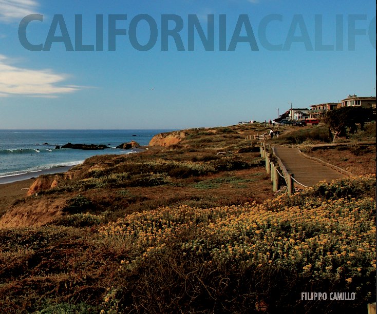 View California Coast (dust jacket) by Filippo Camillo