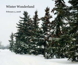 Winter Wonderland book cover