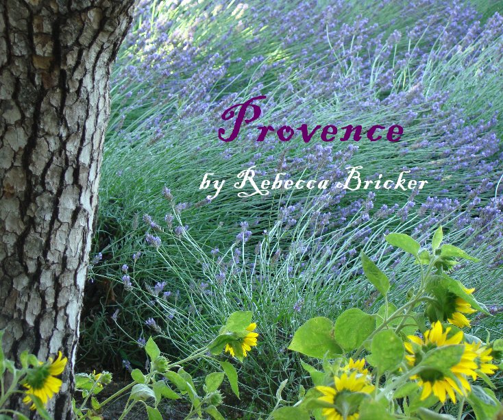 View Provence by Rebecca Bricker