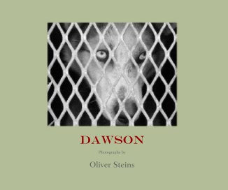 Dawson book cover