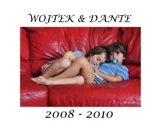 WOJTEK & DANTE 2008 - 2010 book cover