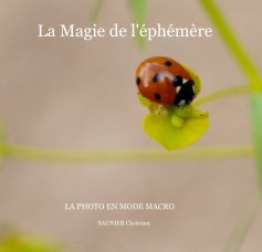 La Magie de l'éphémère book cover