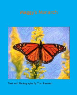 Maggy's Monarch book cover