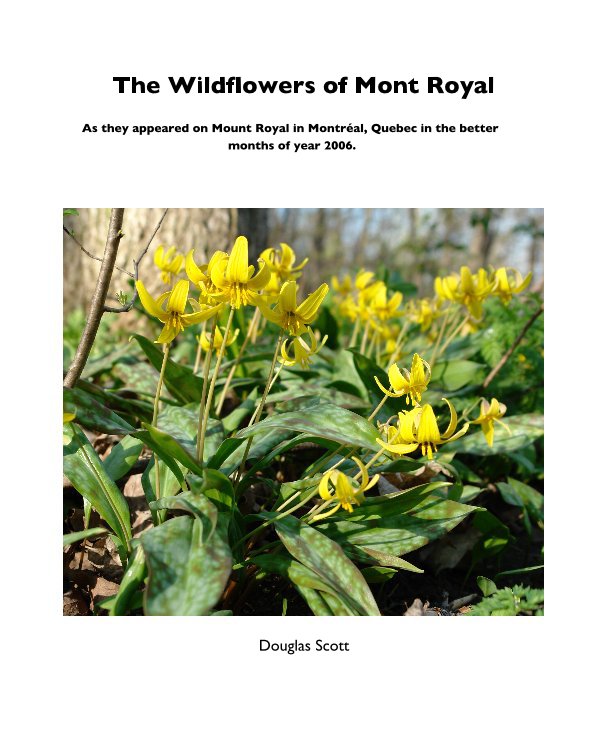 Ver The Wildflowers of Mont Royal por Douglas Scott