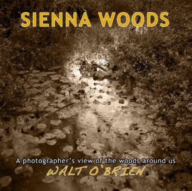 Sienna Woods book cover