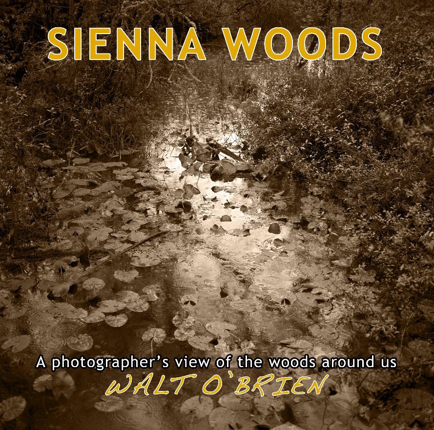 View Sienna Woods by Walt O'Brien