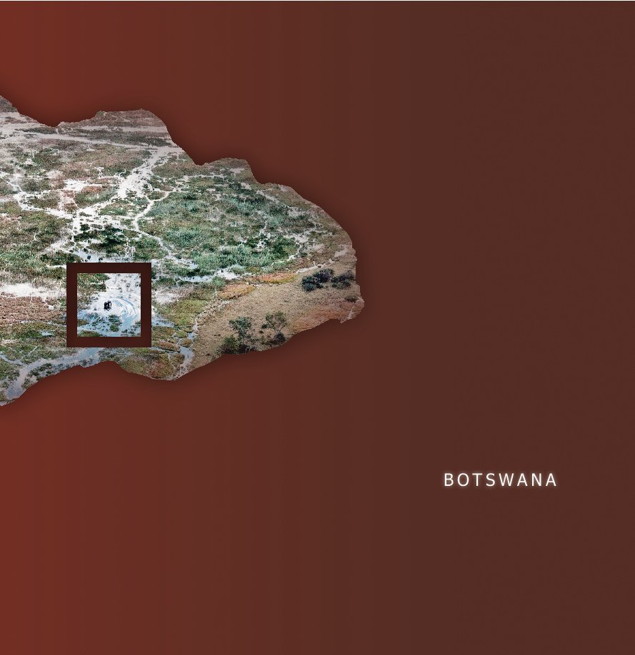 View Botswana by Alessandro Muiesan