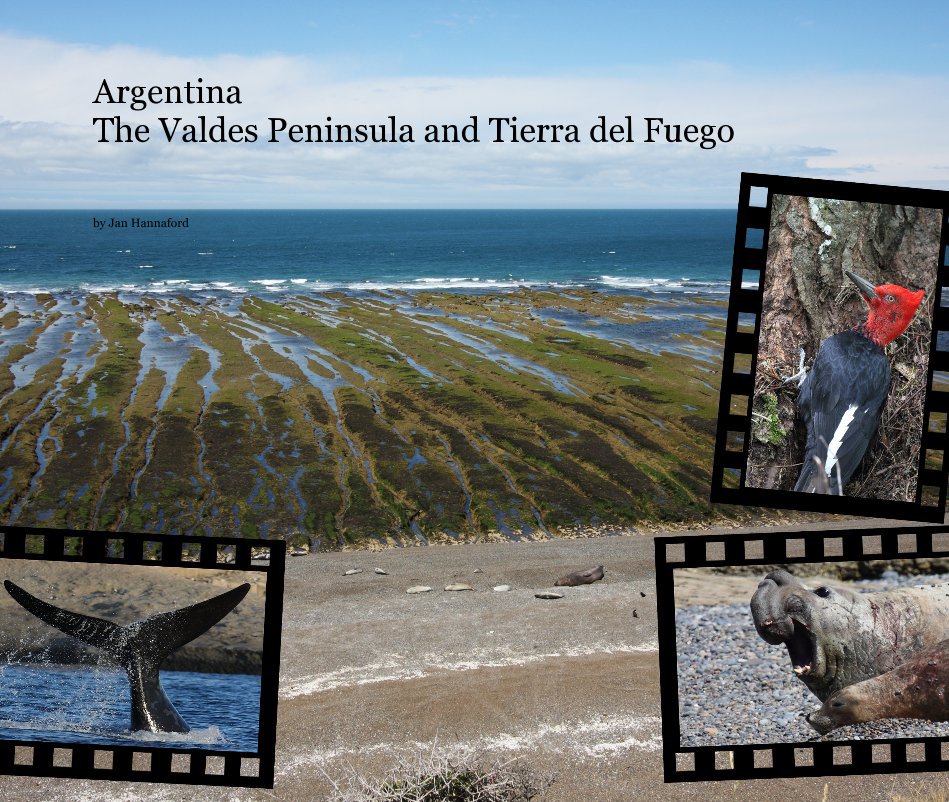 Ver Argentina The Valdes Peninsula and Tierra del Fuego por Jan Hannaford