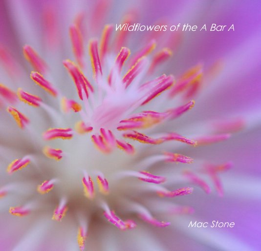 Visualizza Wildflowers of the A Bar A di Mac Stone
