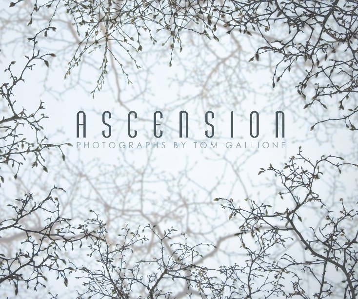 View Ascension by Tom Gallione