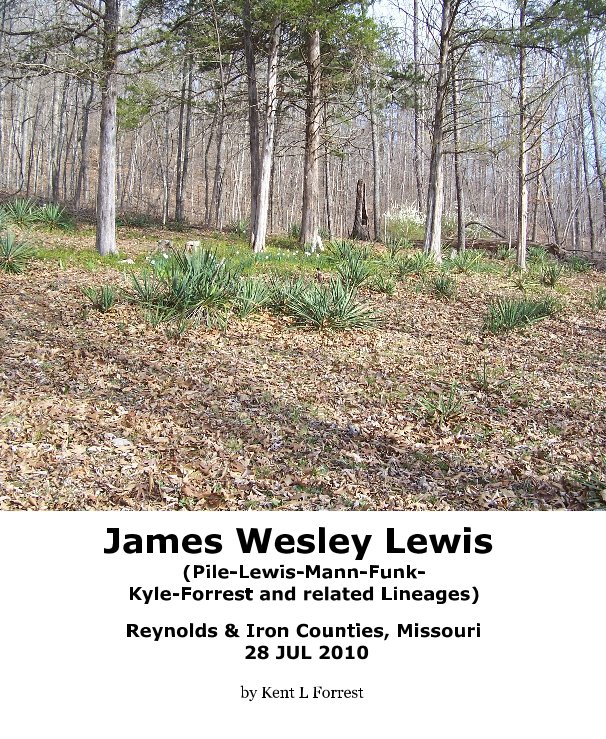 View James Wesley Lewis (Pile-Lewis-Mann-Funk- Kyle-Forrest and related Lineages) by Kent L Forrest