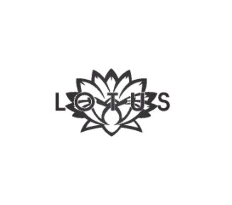 Lotus Fixture 2010 book cover