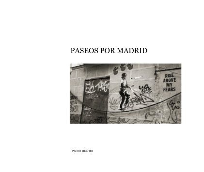 PASEOS POR MADRID book cover