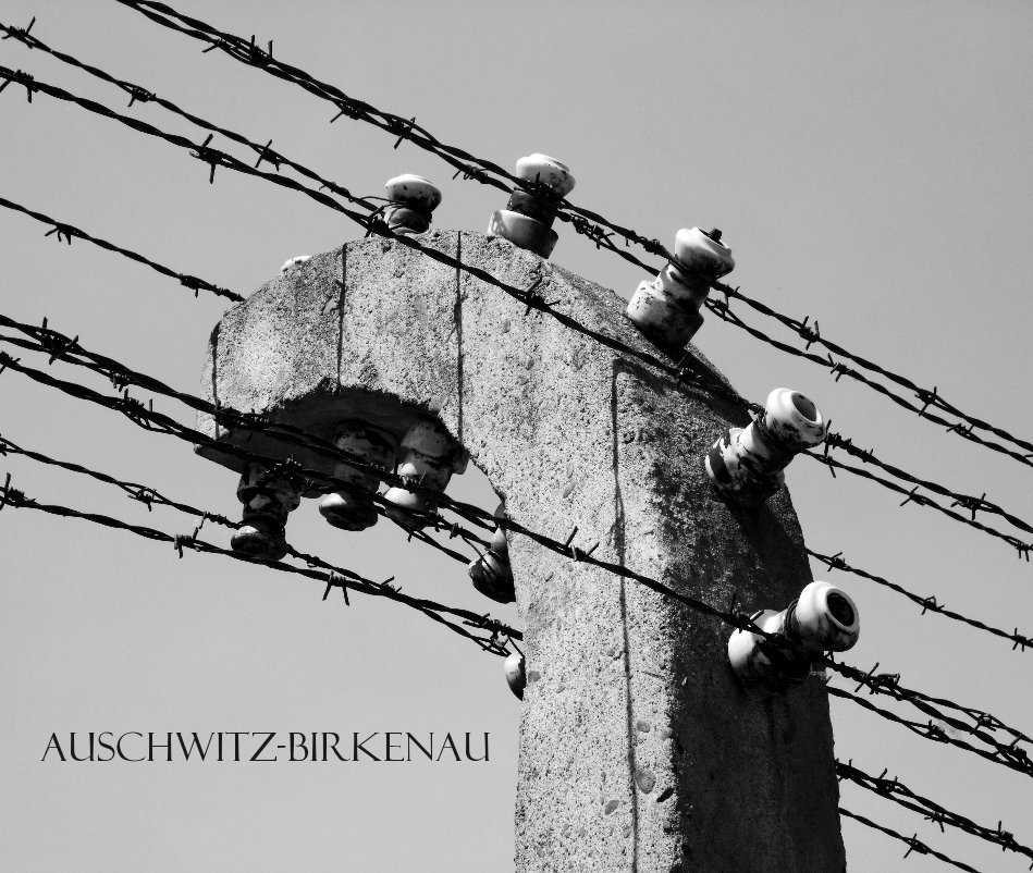 View Auschwitz-birkenau by iburrows