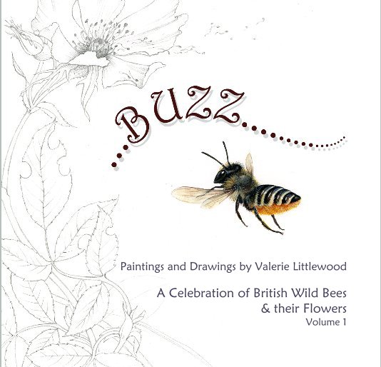 View Buzz.. by Valerie Littlewood