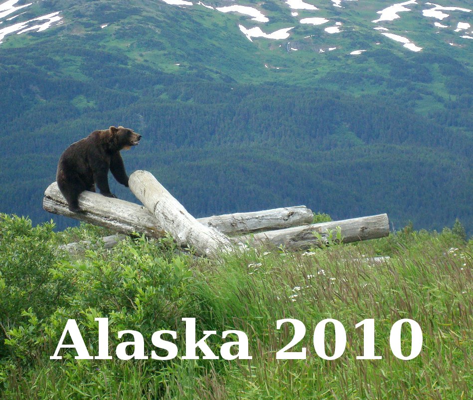 View Alaska 2010 by Rostislav Sovíček, Roman Němec