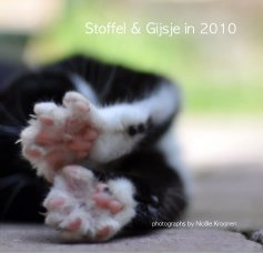 Stoffel & Gijsje in 2010 book cover