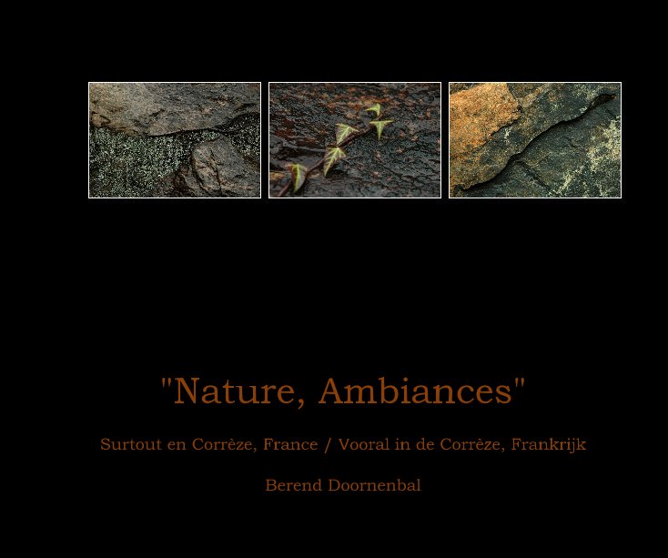 View "Nature, Ambiances" by Berend Doornenbal