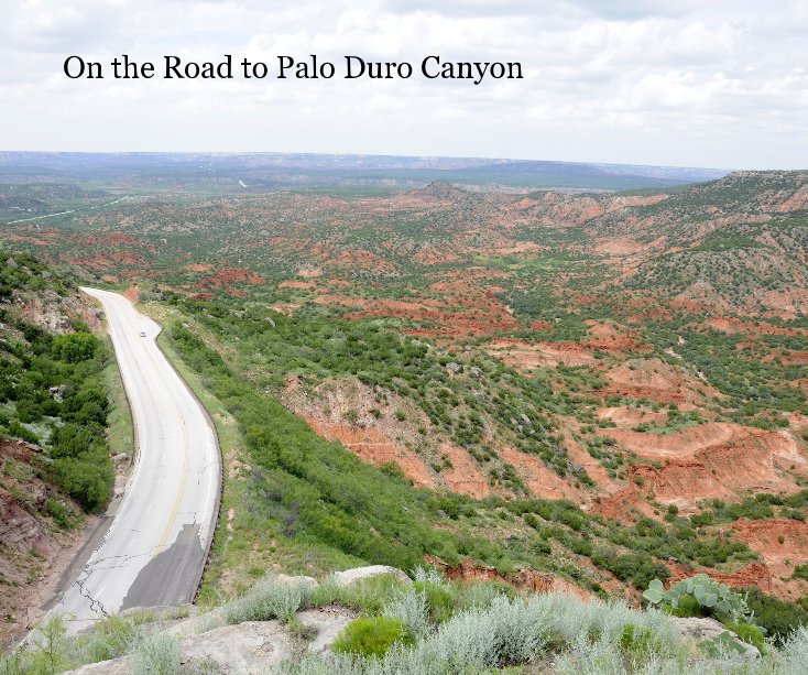View On the Road to Palo Duro Canyon by Karen D. Cleveland