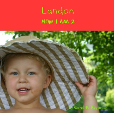 Landon now i am 2 book cover