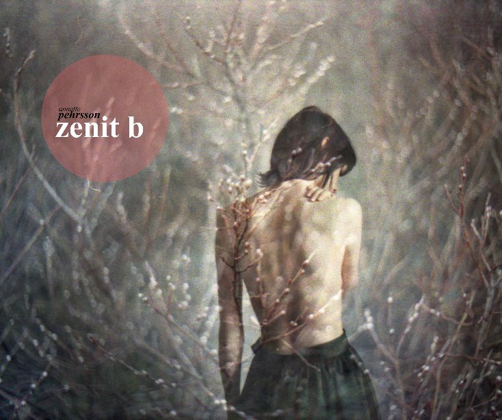 View zenit-b by Annette Pehrsson