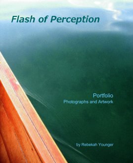 Flash of Perception book cover