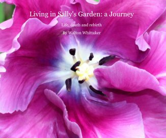 Living in Sally's Garden: a Journey book cover