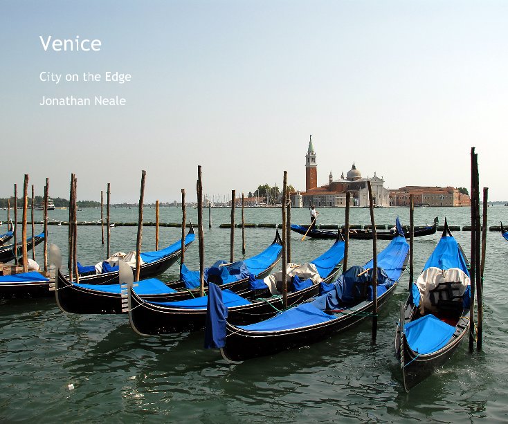 View Venice by Jonathan Neale