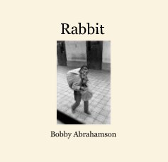 Rabbit book cover