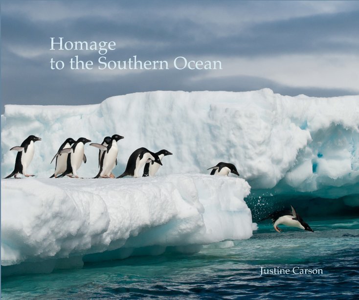 View Homage to the Southern Ocean by Justine Carson