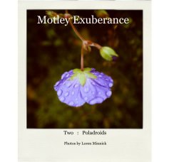 Motley Exuberance - Two book cover
