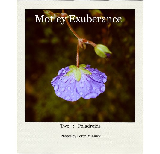 View Motley Exuberance - Two by Photos by Loren Minnick