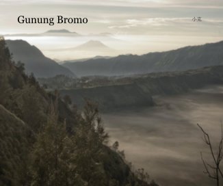 Gunung Bromo book cover