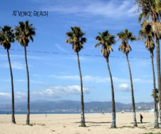 at Venice Beach book cover