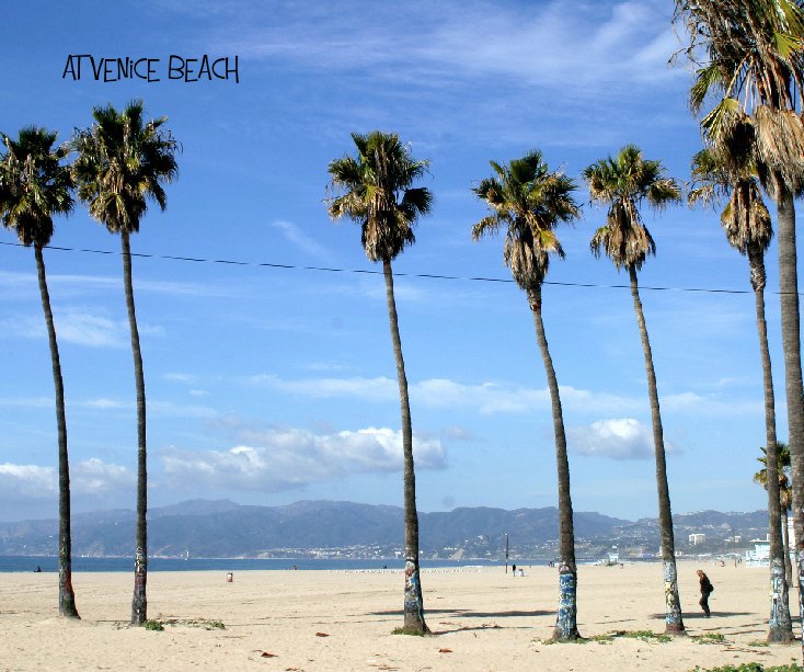 View at Venice Beach by Carolee Lavarini