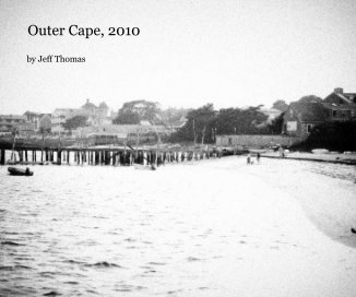 Outer Cape, 2010 book cover