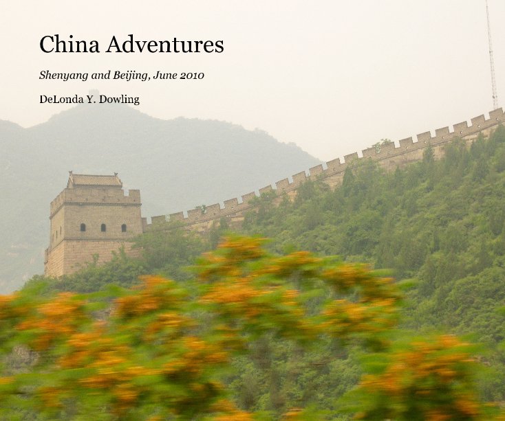 Ver China Adventures por DeLonda Y. Dowling
