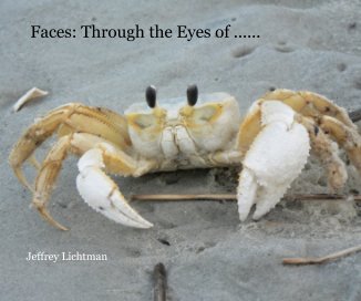 Faces: Through the Eyes of ...... Jeffrey Lichtman book cover