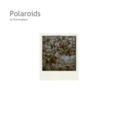 Polaroids by Runningbear book cover