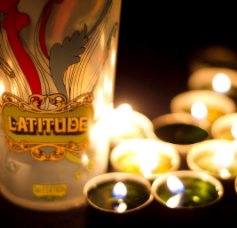 Latitude Festival 2010 book cover