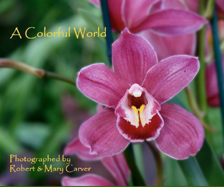 View A Colorful Word by Robert and Mary Carver