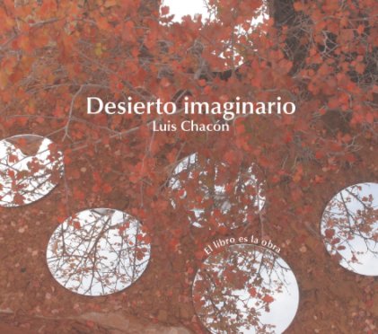 Desierto imaginario book cover